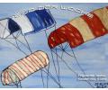 Bild der Woche Juli2 08